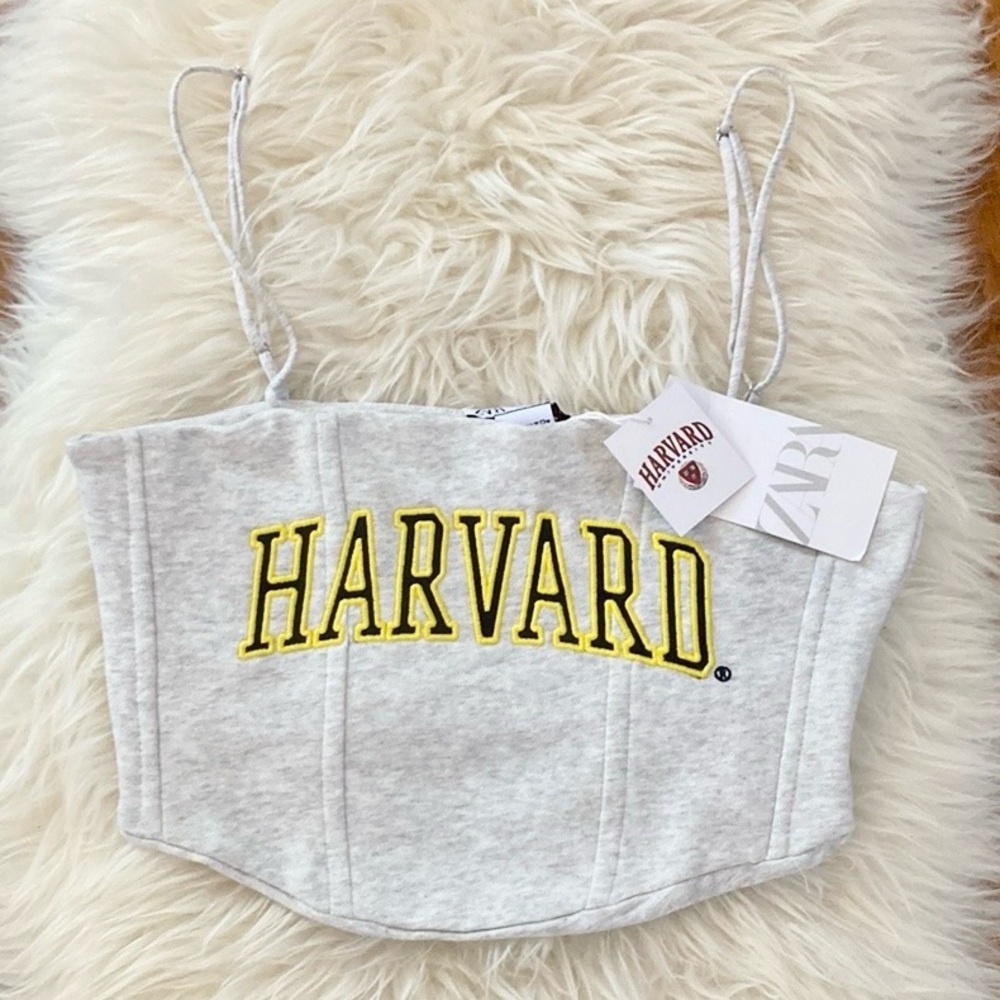 Zara x Harvard Corset Style Soft Knit Crop Top w/Side Boning